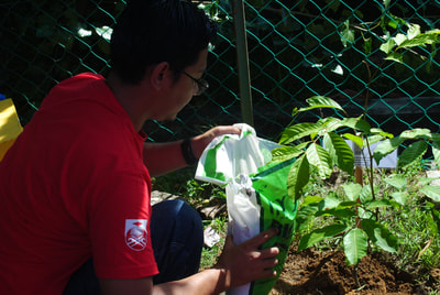 Setulus Kasih Placeholder