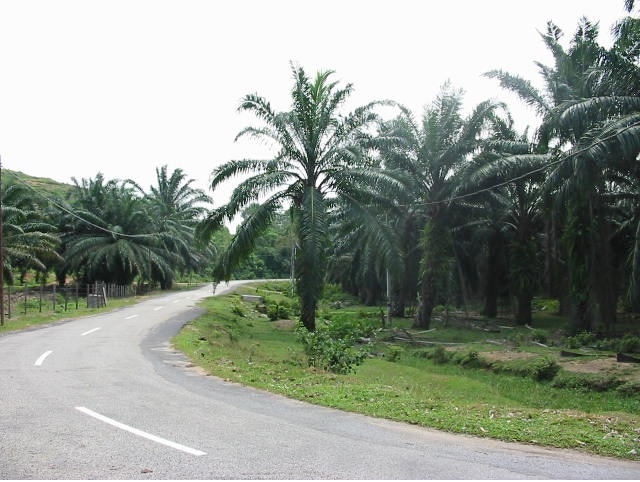 Rural Road Sg. Timun